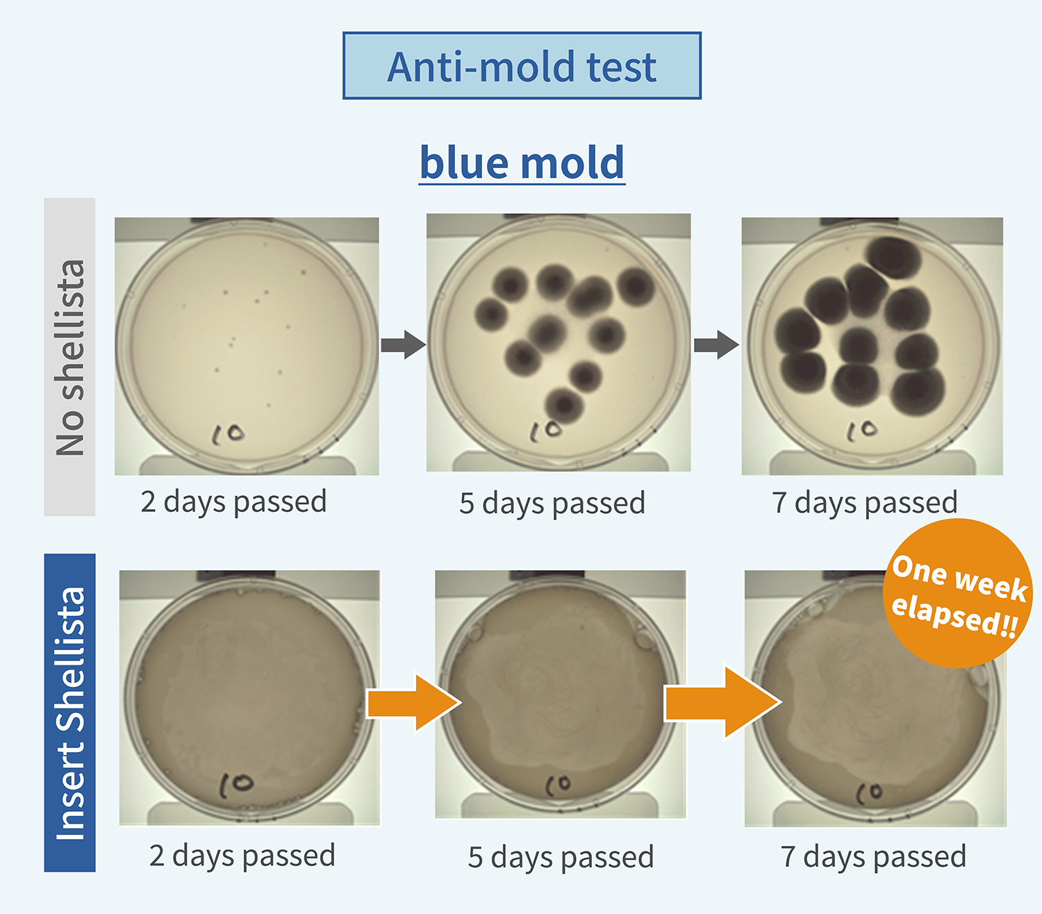 Anti-mold test result1
